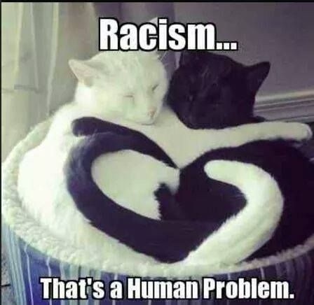 Racism... that's a human problem Picture Quote #1