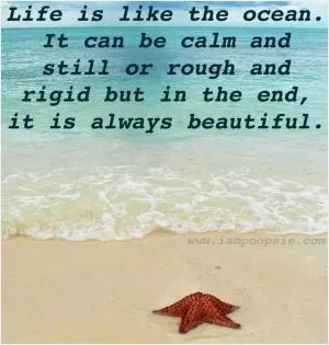 Life is like the ocean. It can be calm and still or rough and rigid but in the end, it is always beautiful Picture Quote #1