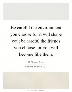 Be careful the environment you choose for it will shape you; be careful the friends you choose for you will become like them Picture Quote #1