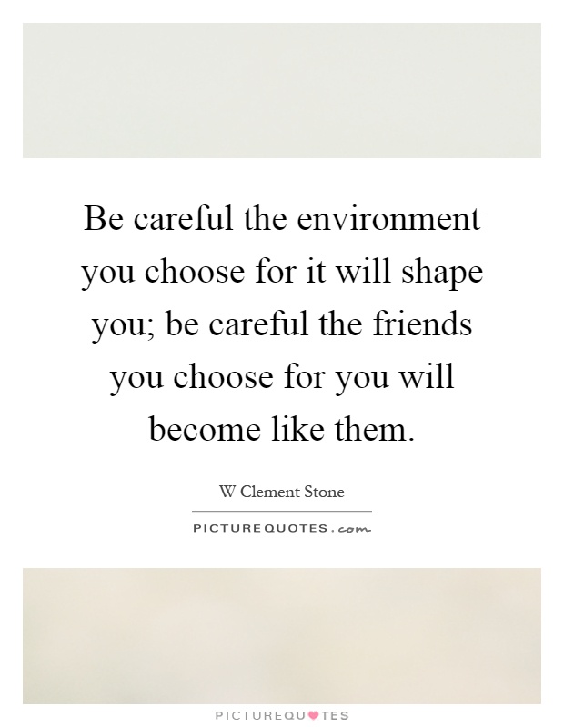 Be careful the environment you choose for it will shape you; be careful the friends you choose for you will become like them Picture Quote #1