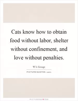 Cats know how to obtain food without labor, shelter without confinement, and love without penalties Picture Quote #1