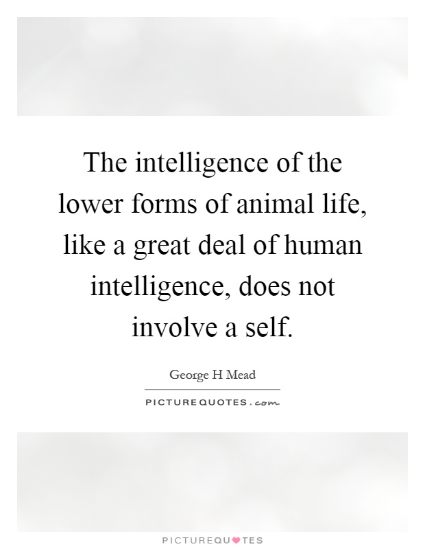 The intelligence of the lower forms of animal life, like a great deal of human intelligence, does not involve a self Picture Quote #1