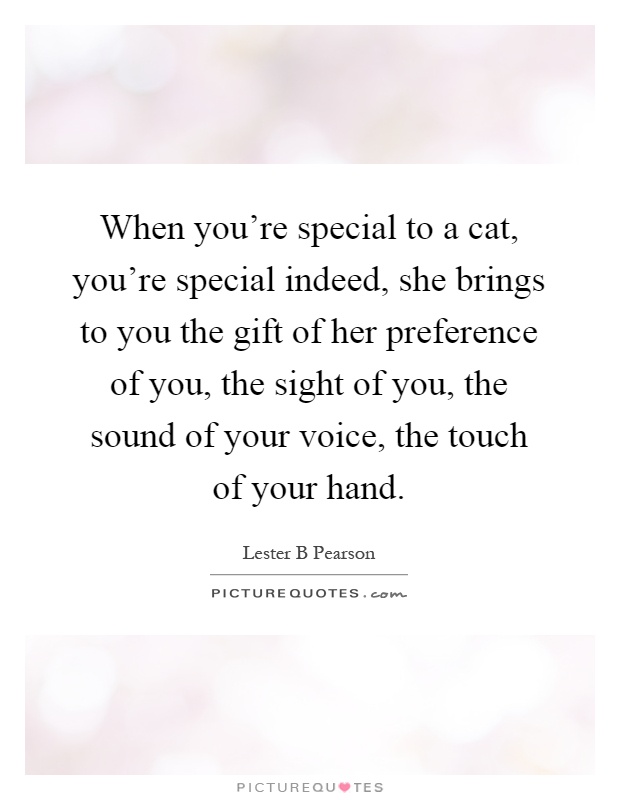 When you're special to a cat, you're special indeed, she brings to you the gift of her preference of you, the sight of you, the sound of your voice, the touch of your hand Picture Quote #1