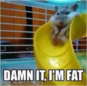 Damn it, I'm fat Picture Quote #1