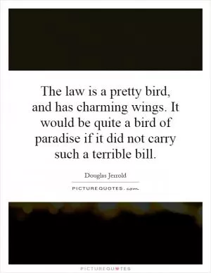 The law is a pretty bird, and has charming wings. It would be quite a bird of paradise if it did not carry such a terrible bill Picture Quote #1