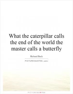 What the caterpillar calls the end of the world the master calls a butterfly Picture Quote #1