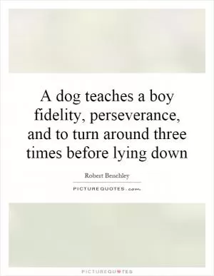 A dog teaches a boy fidelity, perseverance, and to turn around three times before lying down Picture Quote #1