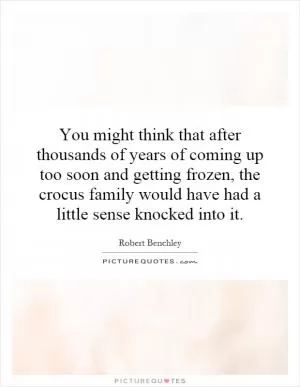 You might think that after thousands of years of coming up too soon and getting frozen, the crocus family would have had a little sense knocked into it Picture Quote #1