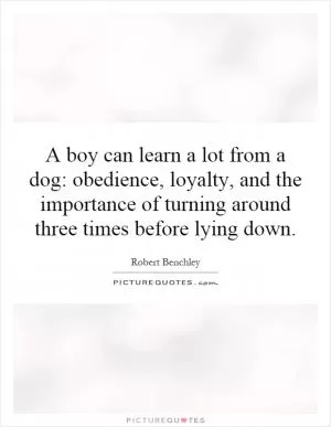 A boy can learn a lot from a dog: obedience, loyalty, and the importance of turning around three times before lying down Picture Quote #1