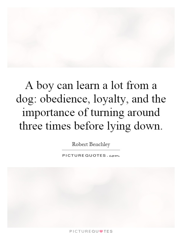 A boy can learn a lot from a dog: obedience, loyalty, and the importance of turning around three times before lying down Picture Quote #1