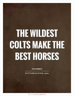 The wildest colts make the best horses Picture Quote #1