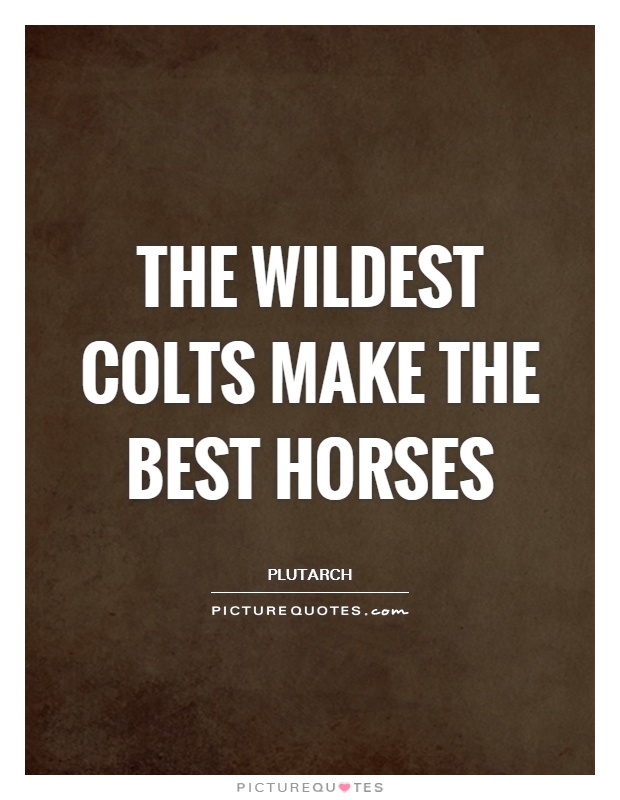 The wildest colts make the best horses Picture Quote #1