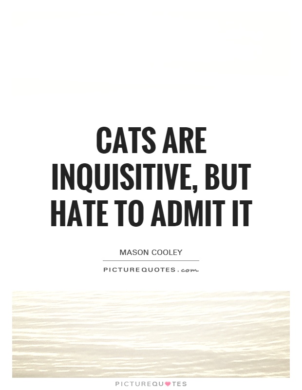 Cats are inquisitive, but hate to admit it Picture Quote #1