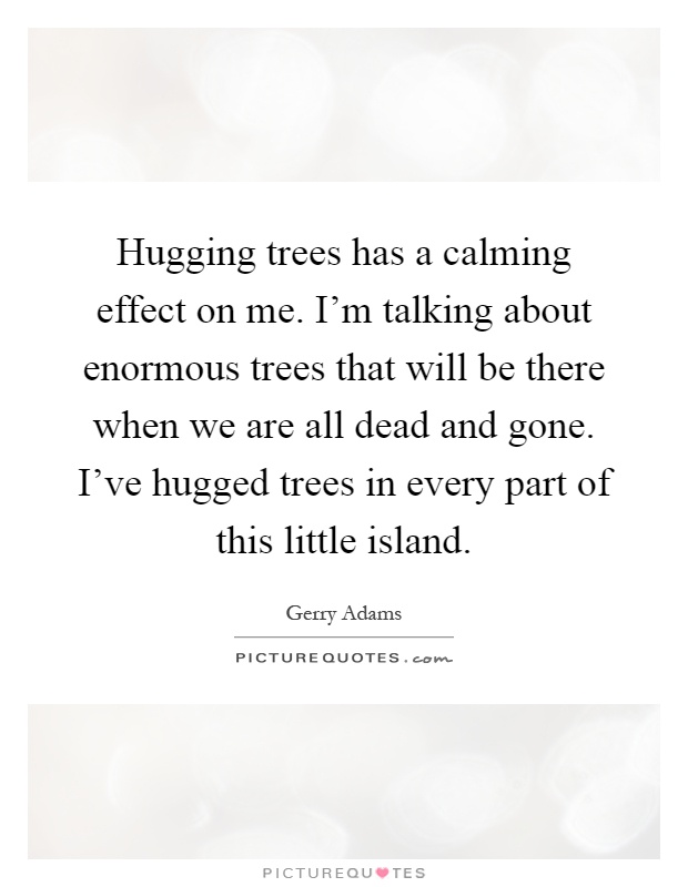 Hugging trees has a calming effect on me. I'm talking about enormous trees that will be there when we are all dead and gone. I've hugged trees in every part of this little island Picture Quote #1