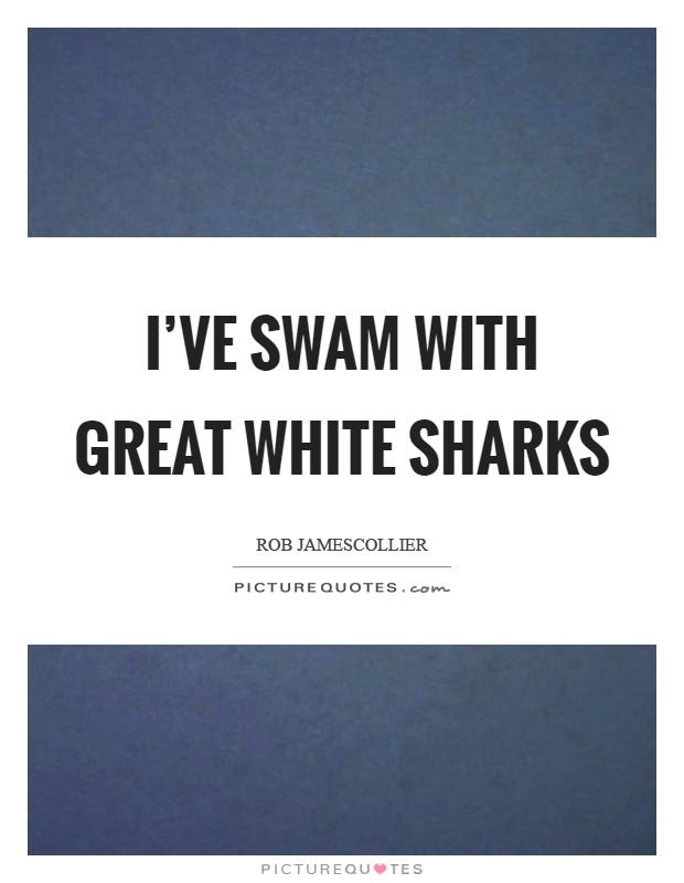 I've swam with great white sharks Picture Quote #1