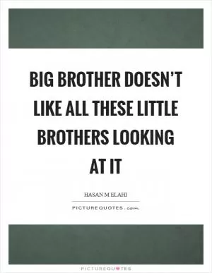 Big Brother doesn’t like all these Little Brothers looking at it Picture Quote #1
