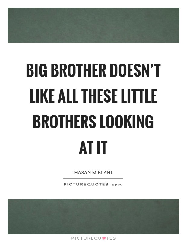 Big Brother doesn't like all these Little Brothers looking at it Picture Quote #1