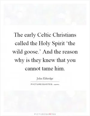 The early Celtic Christians called the Holy Spirit ‘the wild goose.’ And the reason why is they knew that you cannot tame him Picture Quote #1