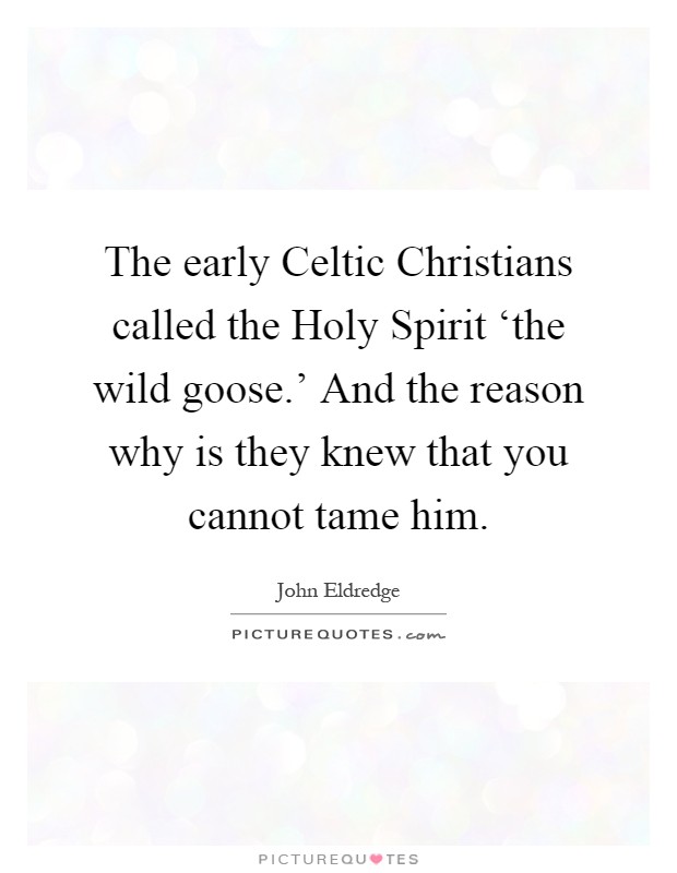 The early Celtic Christians called the Holy Spirit ‘the wild goose.' And the reason why is they knew that you cannot tame him Picture Quote #1