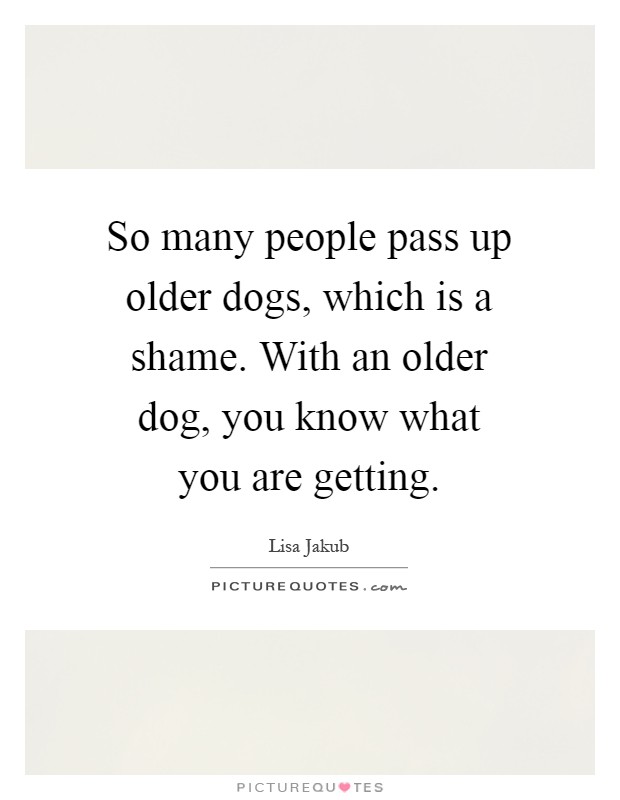 So many people pass up older dogs, which is a shame. With an older dog, you know what you are getting Picture Quote #1