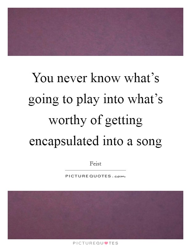 You never know what's going to play into what's worthy of getting encapsulated into a song Picture Quote #1