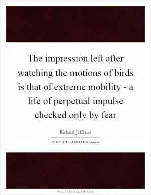 The impression left after watching the motions of birds is that of extreme mobility - a life of perpetual impulse checked only by fear Picture Quote #1