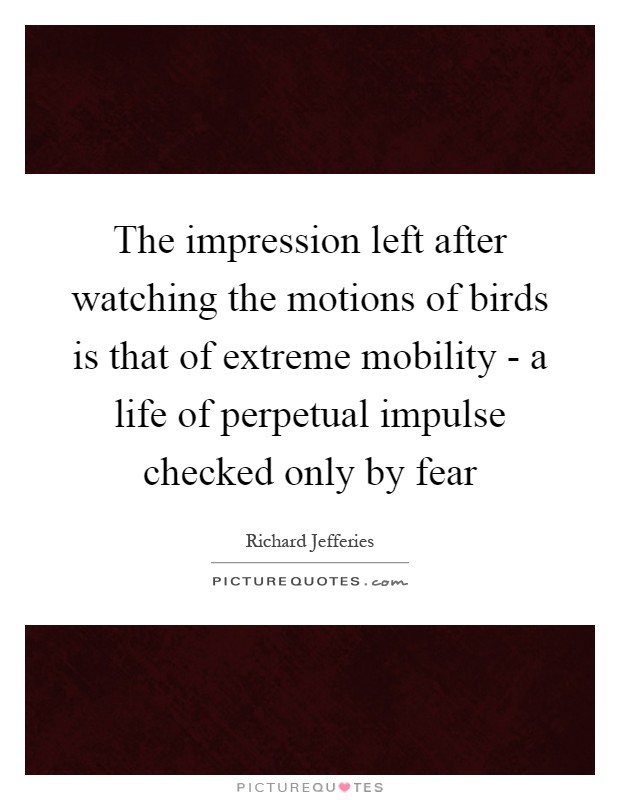 The impression left after watching the motions of birds is that of extreme mobility - a life of perpetual impulse checked only by fear Picture Quote #1