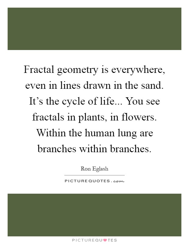 Fractal geometry is everywhere, even in lines drawn in the sand. It's the cycle of life... You see fractals in plants, in flowers. Within the human lung are branches within branches Picture Quote #1