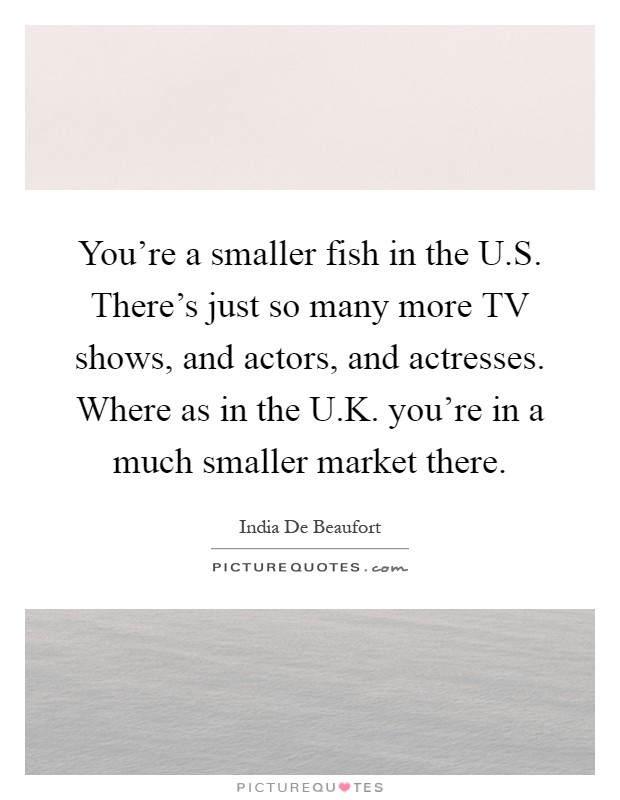 You're a smaller fish in the U.S. There's just so many more TV shows, and actors, and actresses. Where as in the U.K. you're in a much smaller market there Picture Quote #1
