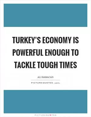 Turkey’s economy is powerful enough to tackle tough times Picture Quote #1