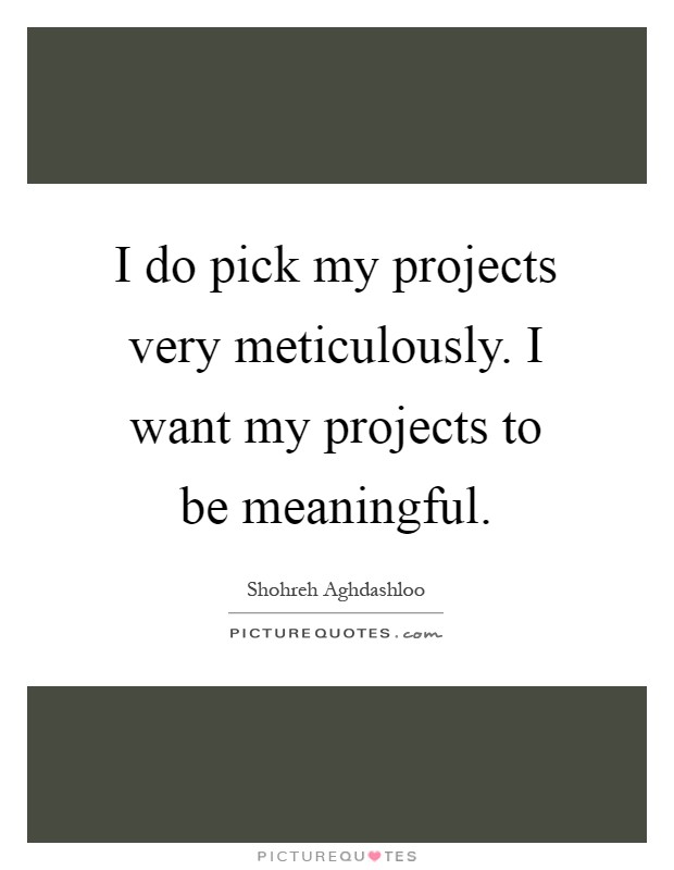 I do pick my projects very meticulously. I want my projects to be meaningful Picture Quote #1