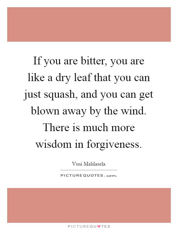 If you are bitter, you are like a dry leaf that you can just squash, and you can get blown away by the wind. There is much more wisdom in forgiveness Picture Quote #1