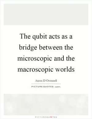 The qubit acts as a bridge between the microscopic and the macroscopic worlds Picture Quote #1