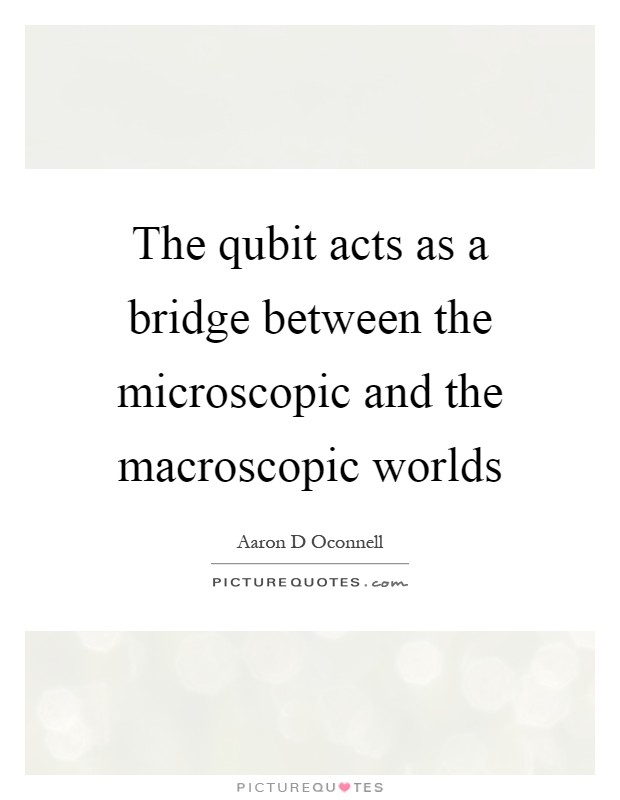 The qubit acts as a bridge between the microscopic and the macroscopic worlds Picture Quote #1