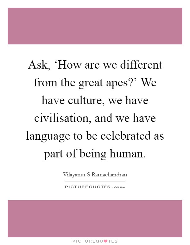 Ask, ‘How are we different from the great apes?' We have culture, we have civilisation, and we have language to be celebrated as part of being human Picture Quote #1