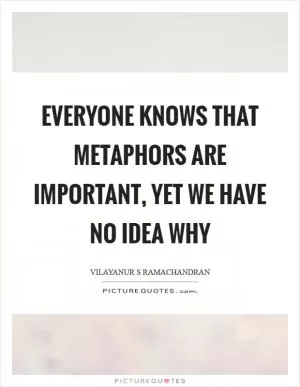 Everyone knows that metaphors are important, yet we have no idea why Picture Quote #1