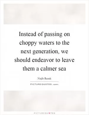 Instead of passing on choppy waters to the next generation, we should endeavor to leave them a calmer sea Picture Quote #1