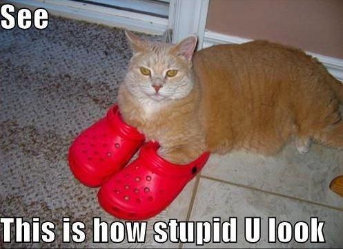 See - this is how stupid you look Picture Quote #1
