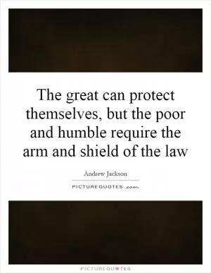 The great can protect themselves, but the poor and humble require the arm and shield of the law Picture Quote #1