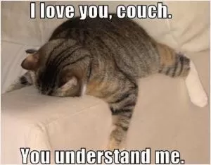 I love you, couch. You understand me Picture Quote #1