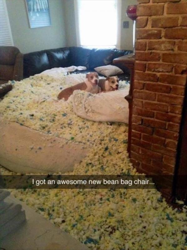 I got an awesome new bean bag chair Picture Quote #1