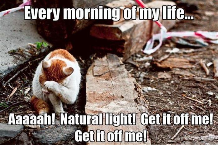 Every morning of my life... Aaaaah! Natural light! Get it off me! Get it off me! Picture Quote #1