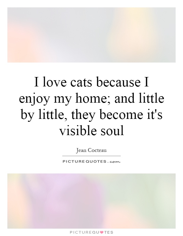 I love cats because I enjoy my home; and little by little, they become it's visible soul Picture Quote #1