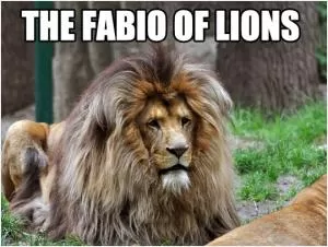The Fabio of lions Picture Quote #1
