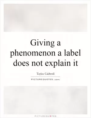 Giving a phenomenon a label does not explain it Picture Quote #1