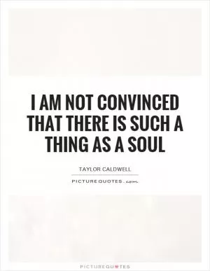 I am not convinced that there is such a thing as a soul Picture Quote #1