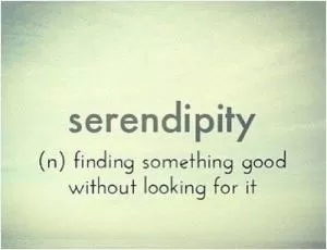 Serendipity (n) finding something good without looking for it Picture Quote #1