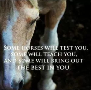 Some horses will test you, some will teach you, and some will bring out the best in you Picture Quote #1