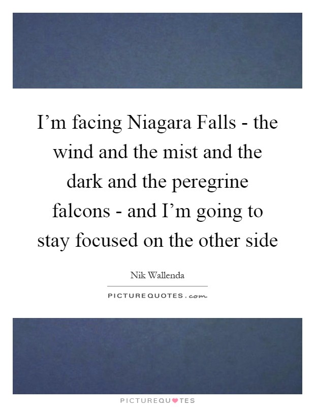 I'm facing Niagara Falls - the wind and the mist and the dark and the peregrine falcons - and I'm going to stay focused on the other side Picture Quote #1