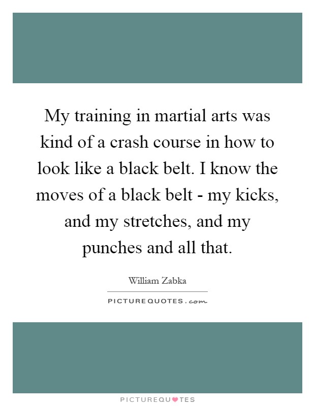 My training in martial arts was kind of a crash course in how to look like a black belt. I know the moves of a black belt - my kicks, and my stretches, and my punches and all that Picture Quote #1